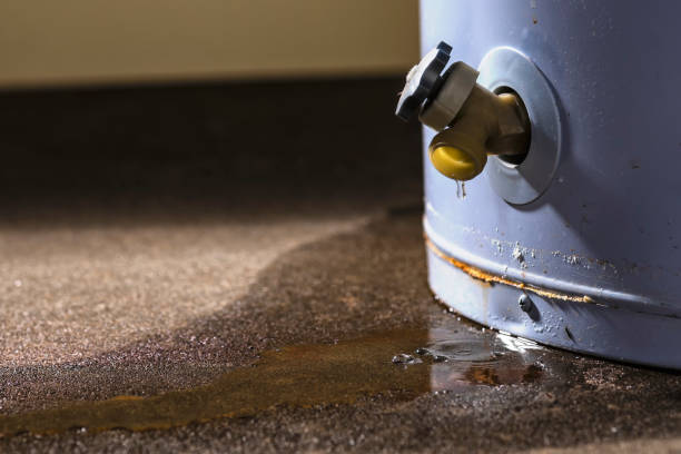 Best Water damage restoration mold remediation  in Prudenville, MI