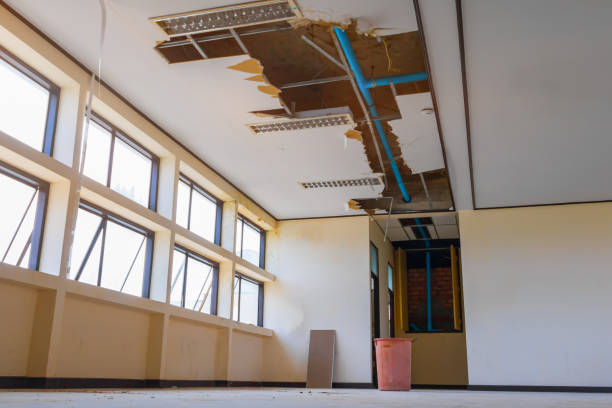 Best Water damage contractors near me  in Prudenville, MI