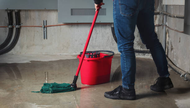 Best Water damage restoration near me  in Prudenville, MI