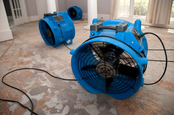 Trusted MI Water damage restoration Experts