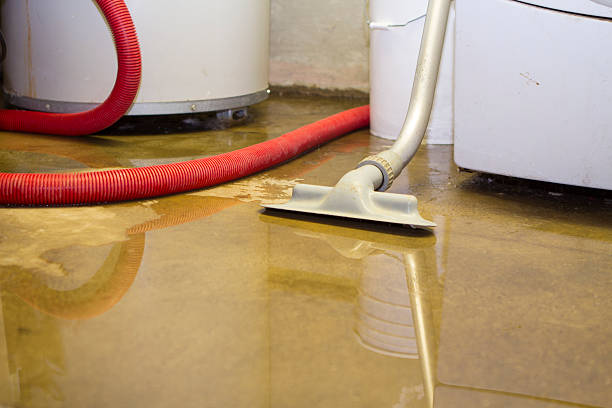 Best Emergency water damage restoration  in Prudenville, MI