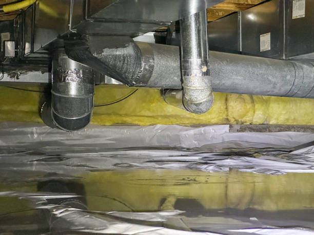 Best Carpet water damage restoration  in Prudenville, MI