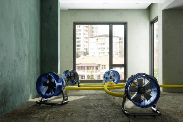 Best Sewage cleanup and water damage restoration  in Prudenville, MI